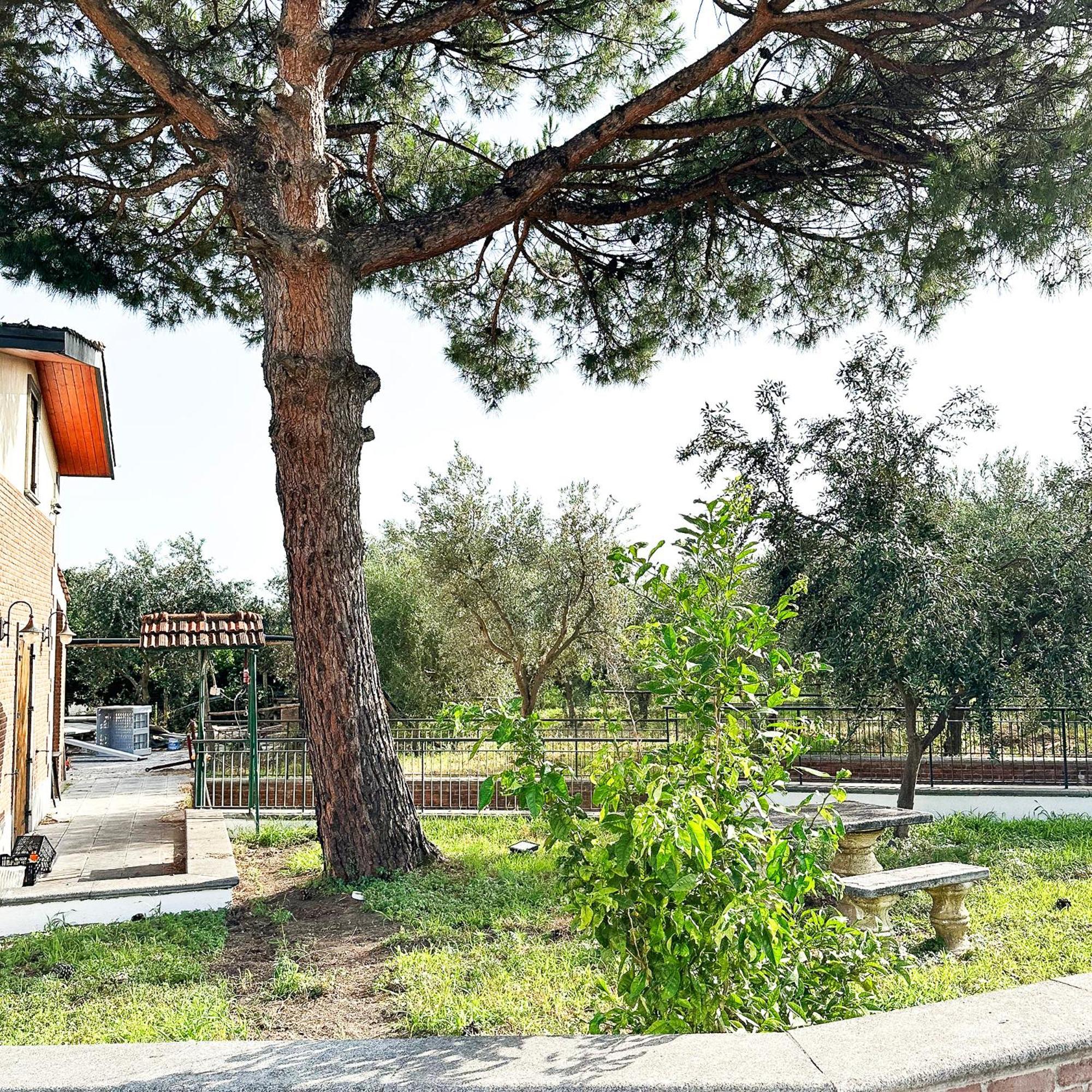 Tenuta Nunziata - Food, Event, Biofarm Torre Annunziata Exteriör bild