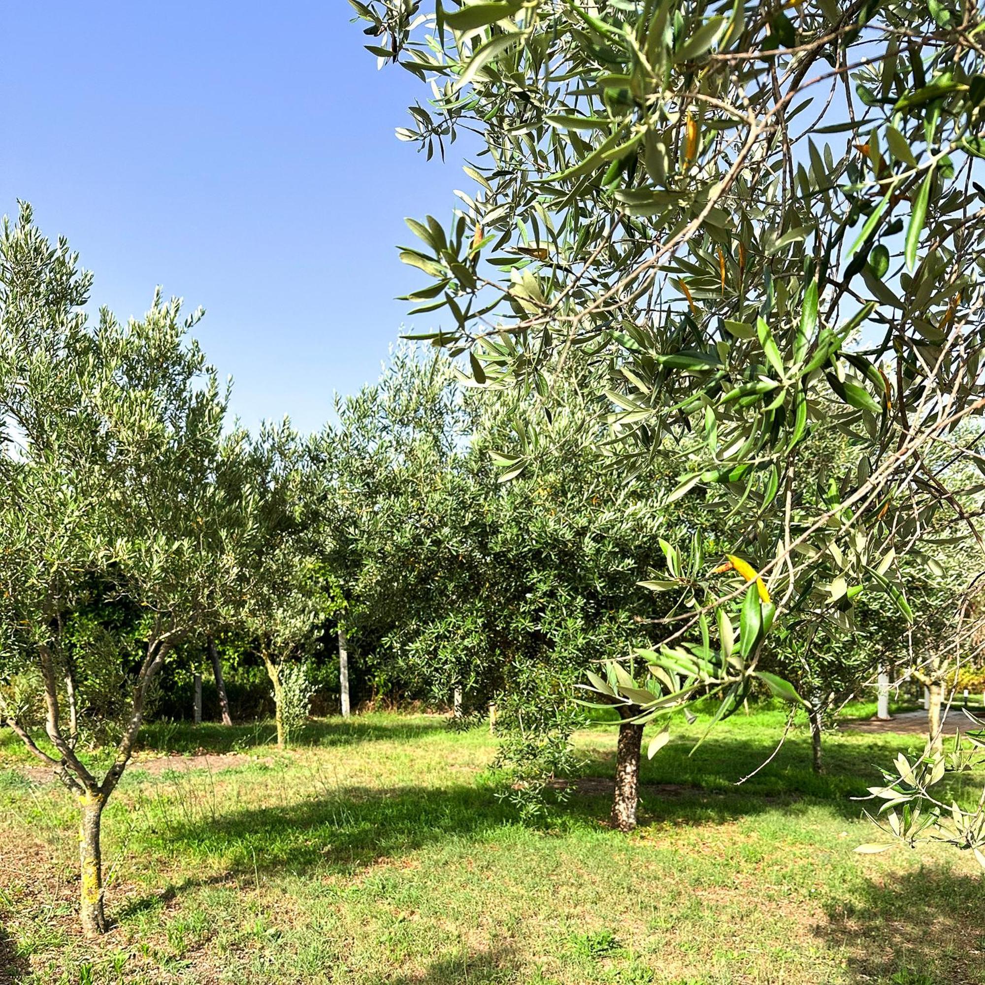 Tenuta Nunziata - Food, Event, Biofarm Torre Annunziata Exteriör bild